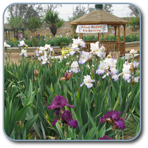 Holk Memorial Garden Preview