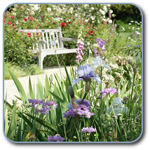 Huntington Botanical Gardens Preview